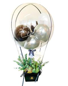 "Eian" | Hot Air Balloon with Succulents - Tall