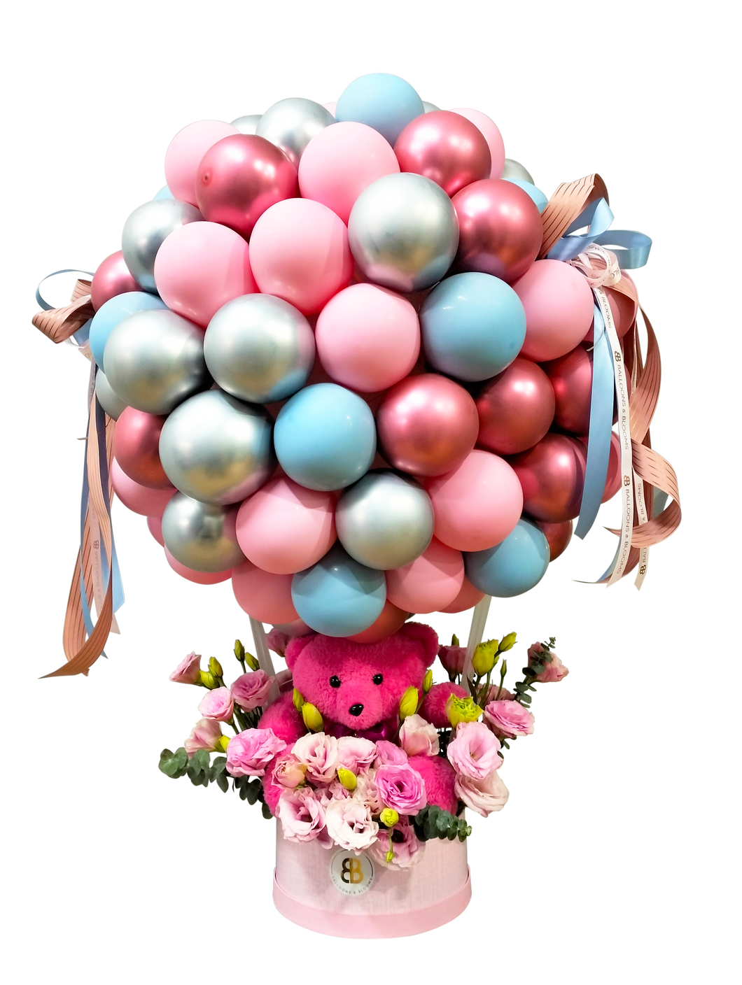 “Sylvia Bear” | Hot Air Balloon Cloud