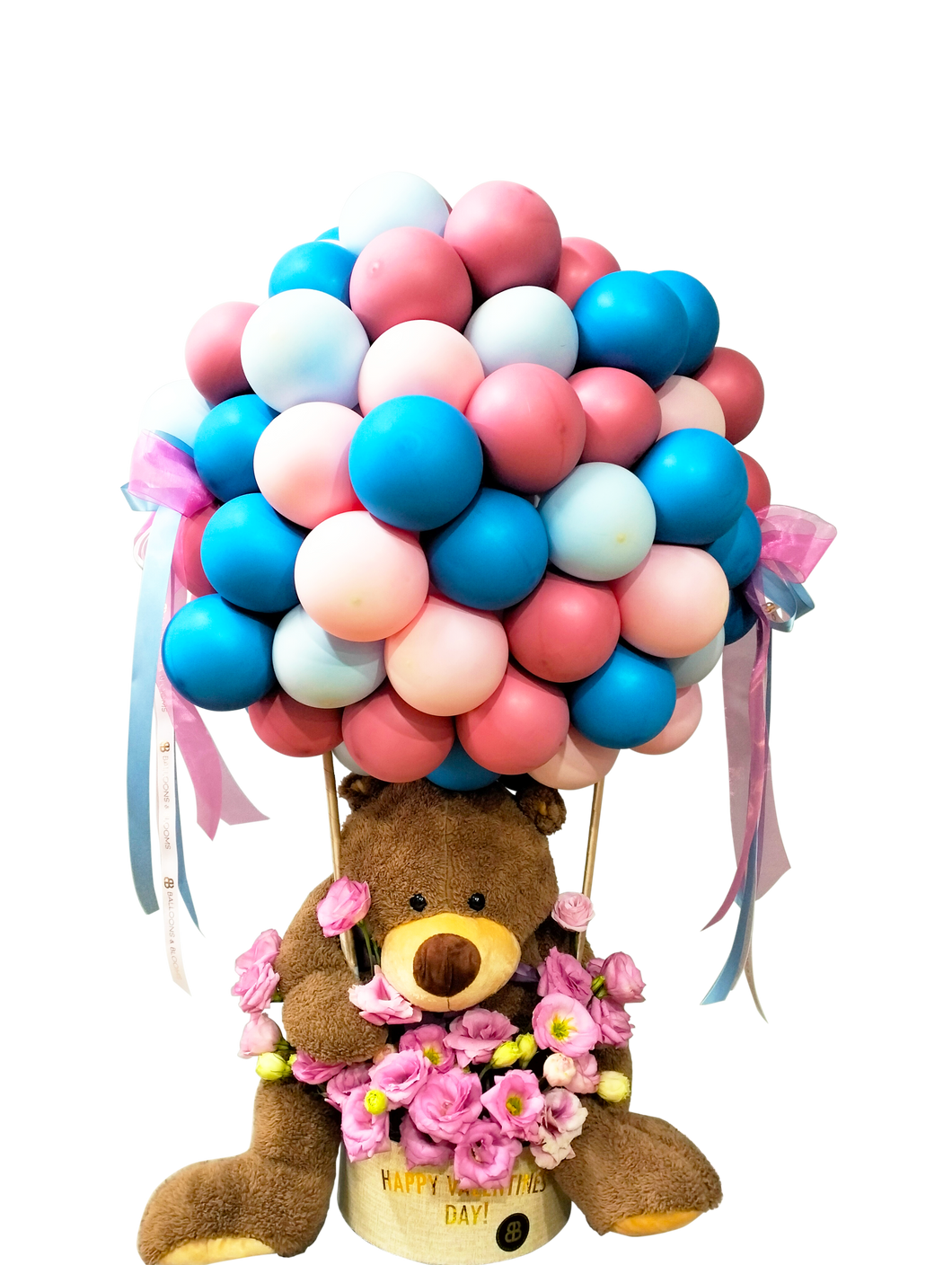 “Armona Bear” | Hot Air Balloon Cloud