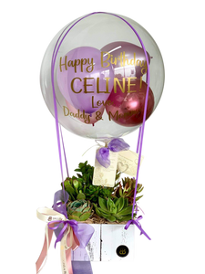 "Celine" | Mini Hot Air Balloon - Succulents